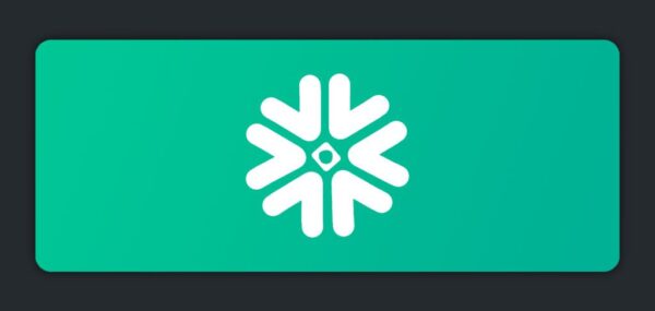 Solace Blog Featured Image Snowflake Green