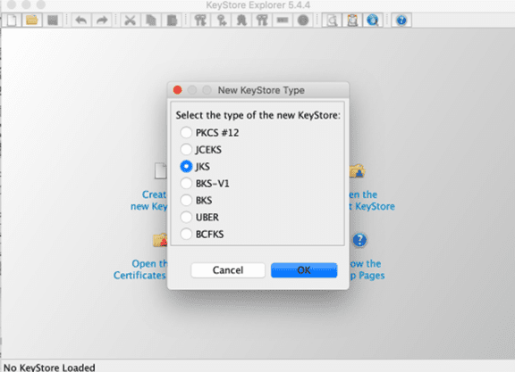 Select the New KeyStore Type
