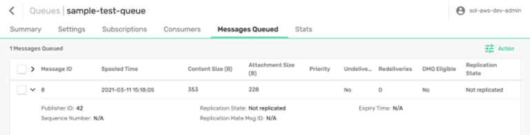 Published message view in the Solace Queue