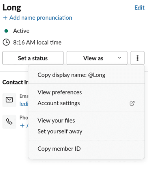 Figure 18: Copy member Id from Slack user profile window