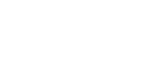 BSE Logo White 500x250