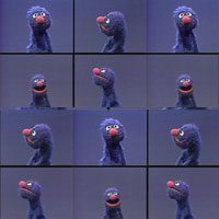 Many images of Grover muppet